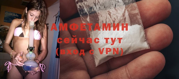 ГАЛЛЮЦИНОГЕННЫЕ ГРИБЫ Гусев