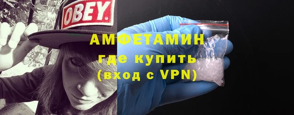 ГАЛЛЮЦИНОГЕННЫЕ ГРИБЫ Гусев