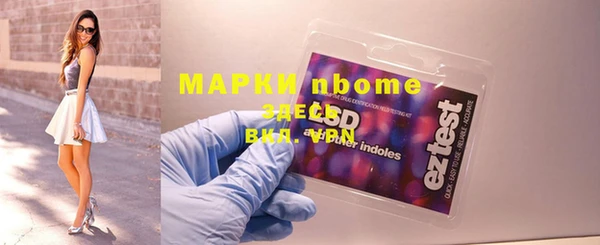ГАЛЛЮЦИНОГЕННЫЕ ГРИБЫ Гусев