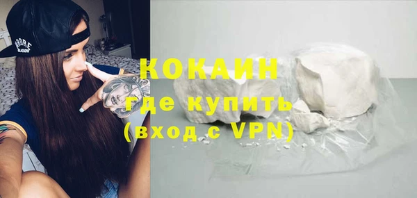 ГАЛЛЮЦИНОГЕННЫЕ ГРИБЫ Гусев
