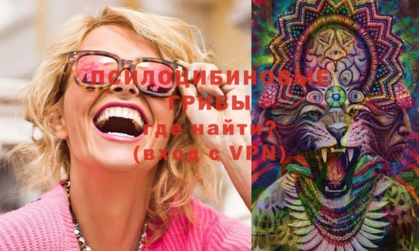 марки lsd Гусиноозёрск