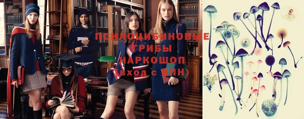 ГАЛЛЮЦИНОГЕННЫЕ ГРИБЫ Гусев