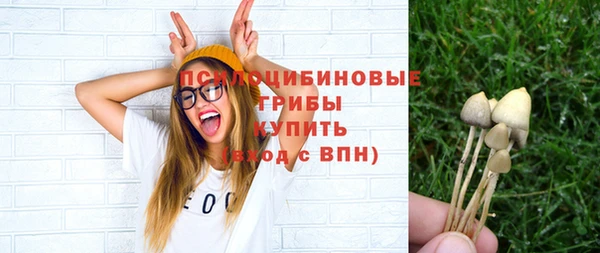 крисы Гусь-Хрустальный